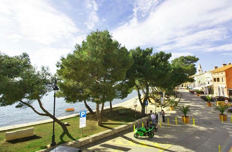 Apartman Petra Appartement Fažana Buitenkant foto